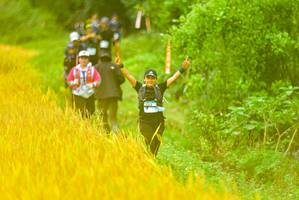 BIB: 
                            <button type="button" onclick="openModal(13456173)" class="btn btn-primary btn-sm float-right btn-popup" data-toggle="modal" data-target=".modal-high-quality">
                        <i class="fas fa-shopping-cart"></i> Add to Cart
                    </button>
                                            <button type="button" onclick="isThisMe(13456173, true)" class="btn btn-success btn-sm float-right btn-popup btn-isme hidden" data-toggle="tooltip" data-placement="bottom" title="นี่คือรูปของคุณใช่ไหม คลิกที่นี่เพื่อเอาเข้าอัลบั้ม">
                        <i class="fas fa-plus"></i> Add to album
                    </button>
                    <button type="button" onclick="isThisMe(13456173, false)" class="btn btn-warning btn-sm float-right btn-popup btn-isnotme hidden">
                        <i class="fas fa-ban"></i> Remove from album
                    </button>